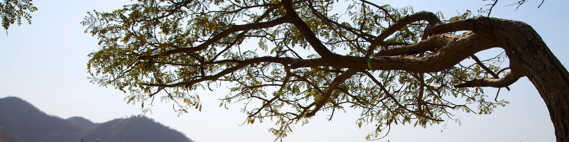 Taganga Beach featuring a beach, a bay or harbor and boating