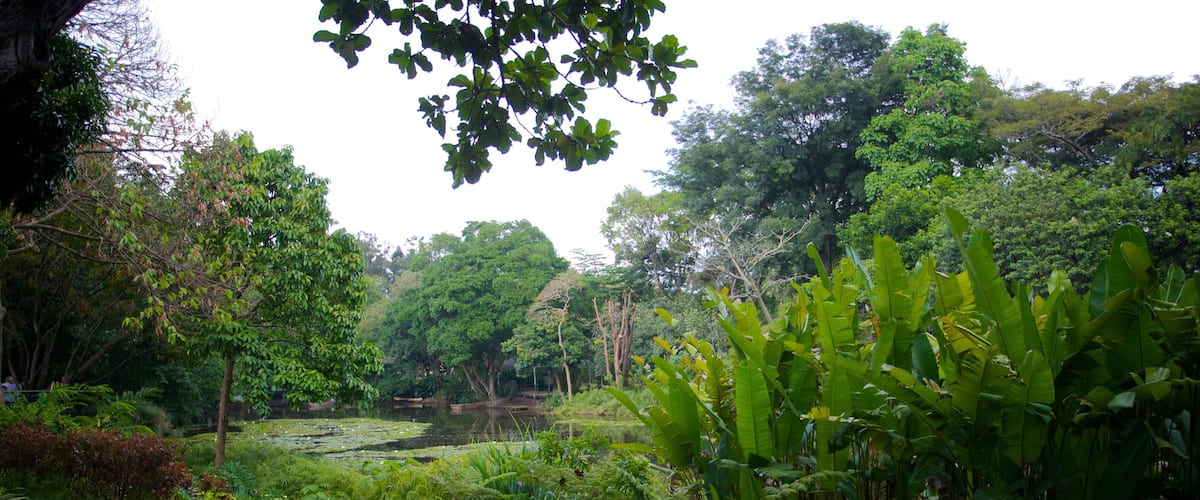 Joaquin Antonio Uribe Botanical Garden which includes a park