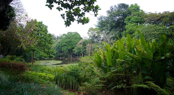 Joaquin Antonio Uribe Botanical Garden which includes a park