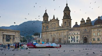 Primada Cathedral which includes bird life, a church or cathedral and heritage architecture