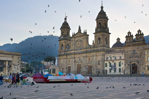 Primada Cathedral showing bird life, a square or plaza and a city
