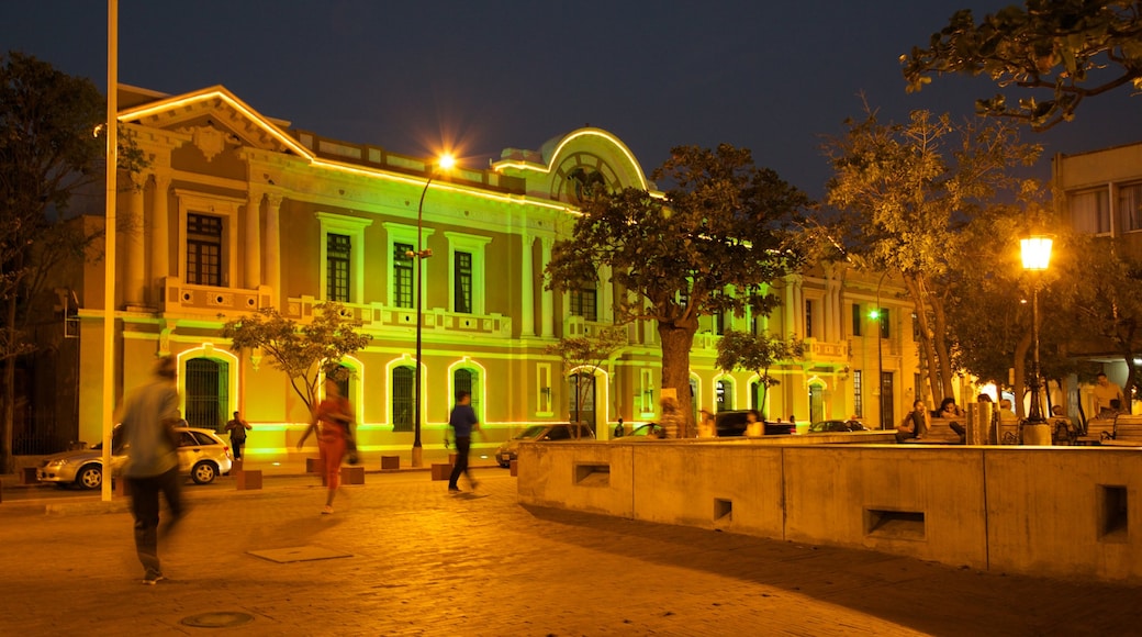 Plaza de Bolivar bevat een stad, een plein en nachtleven