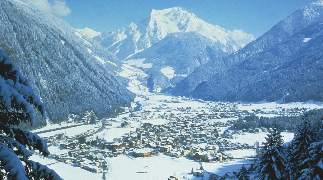 mayrhofen tourist information office