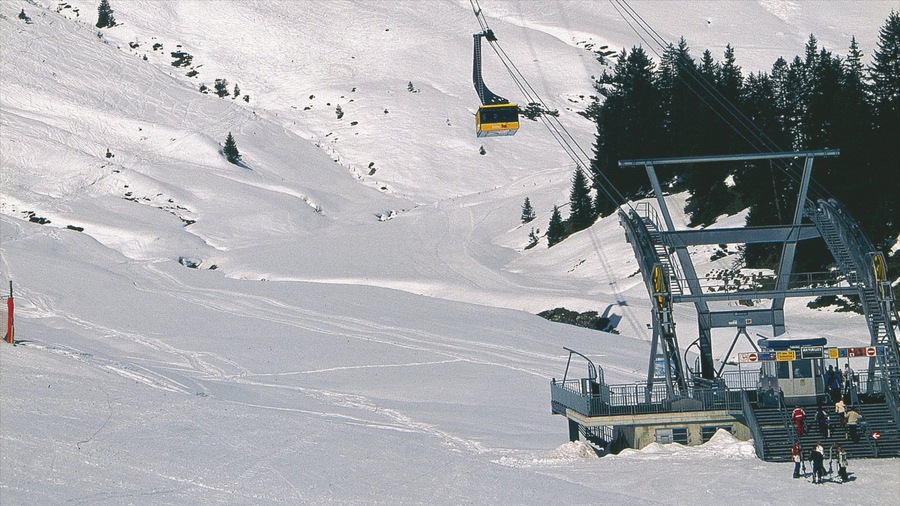 Mayrhofen which includes a gondola and snow
