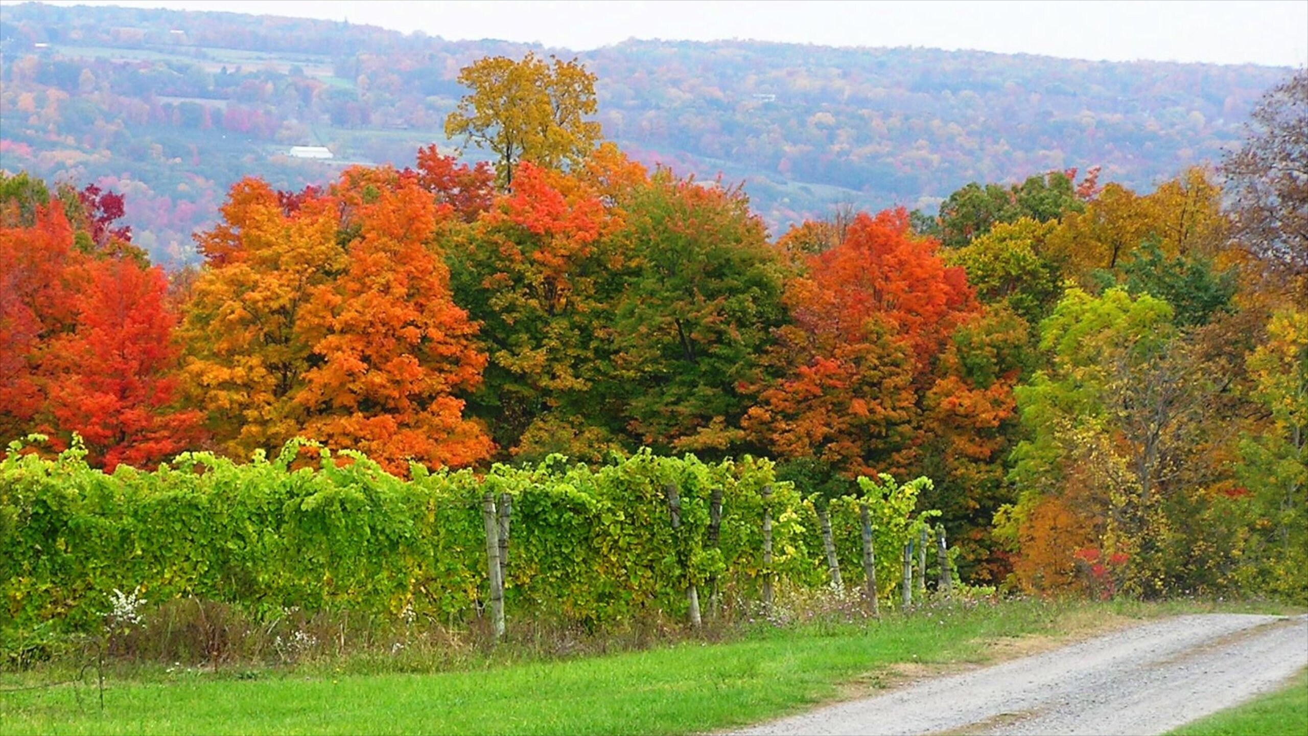 Visit Seneca Lake Best of Seneca Lake Tourism Expedia Travel Guide