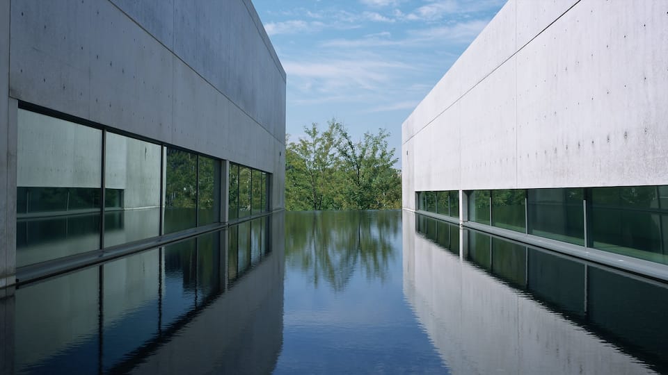 Pulitzer Foundation for the Arts which includes modern architecture and a pool