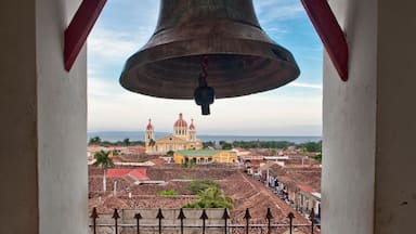 Katedralen i Granada presenterar interiörer, en stad och en kyrka eller katedral