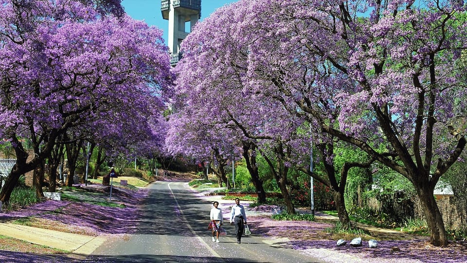 Pretória caracterizando cenas de rua e um jardim assim como um casal