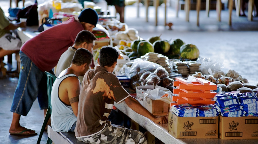 Salelologa เนื้อเรื่องที่ ตลาด, อาหาร และ การตกแต่งภายใน