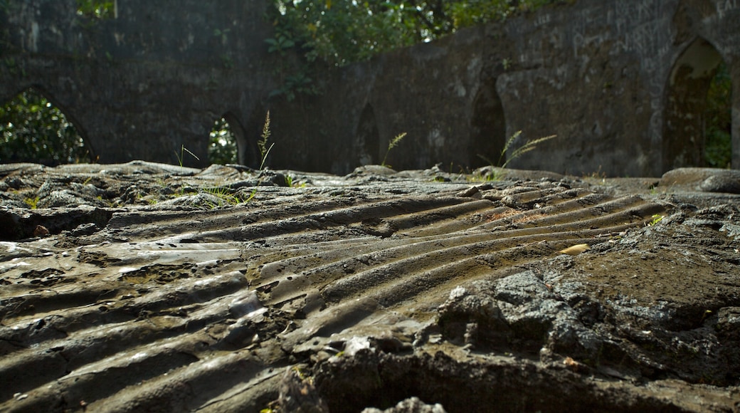 Saleaula Lava Field featuring tranquil scenes