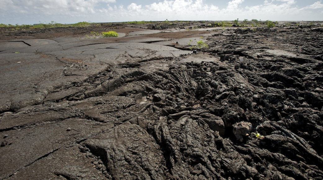 Saleaula Lava Field ofreciendo escenas tranquilas