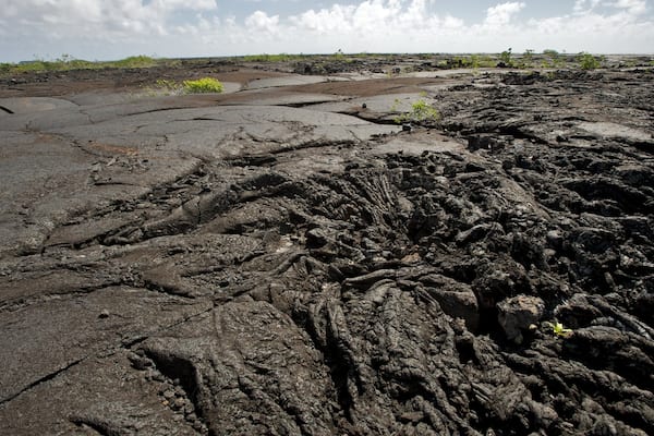 Saleaula Lava Field featuring tranquil scenes