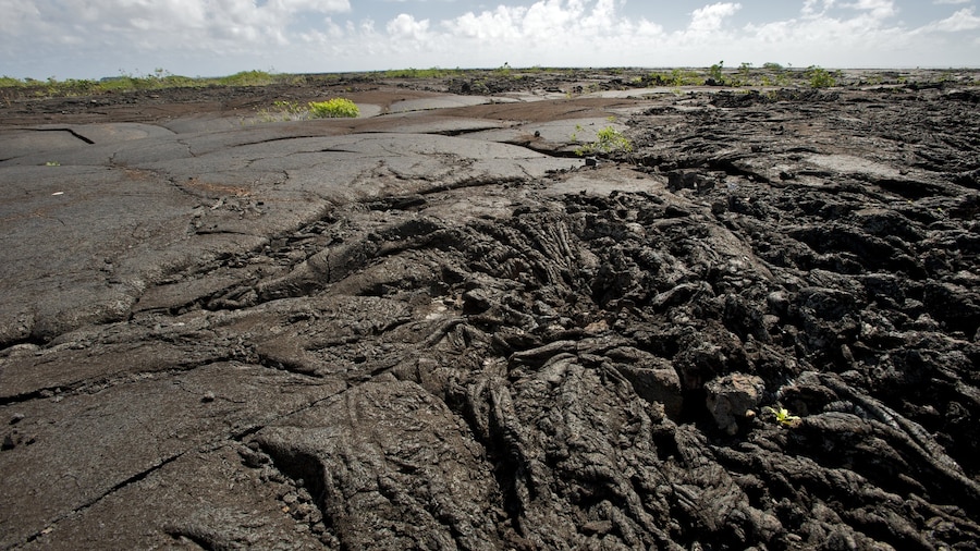 Saleaula Lava Field featuring tranquil scenes