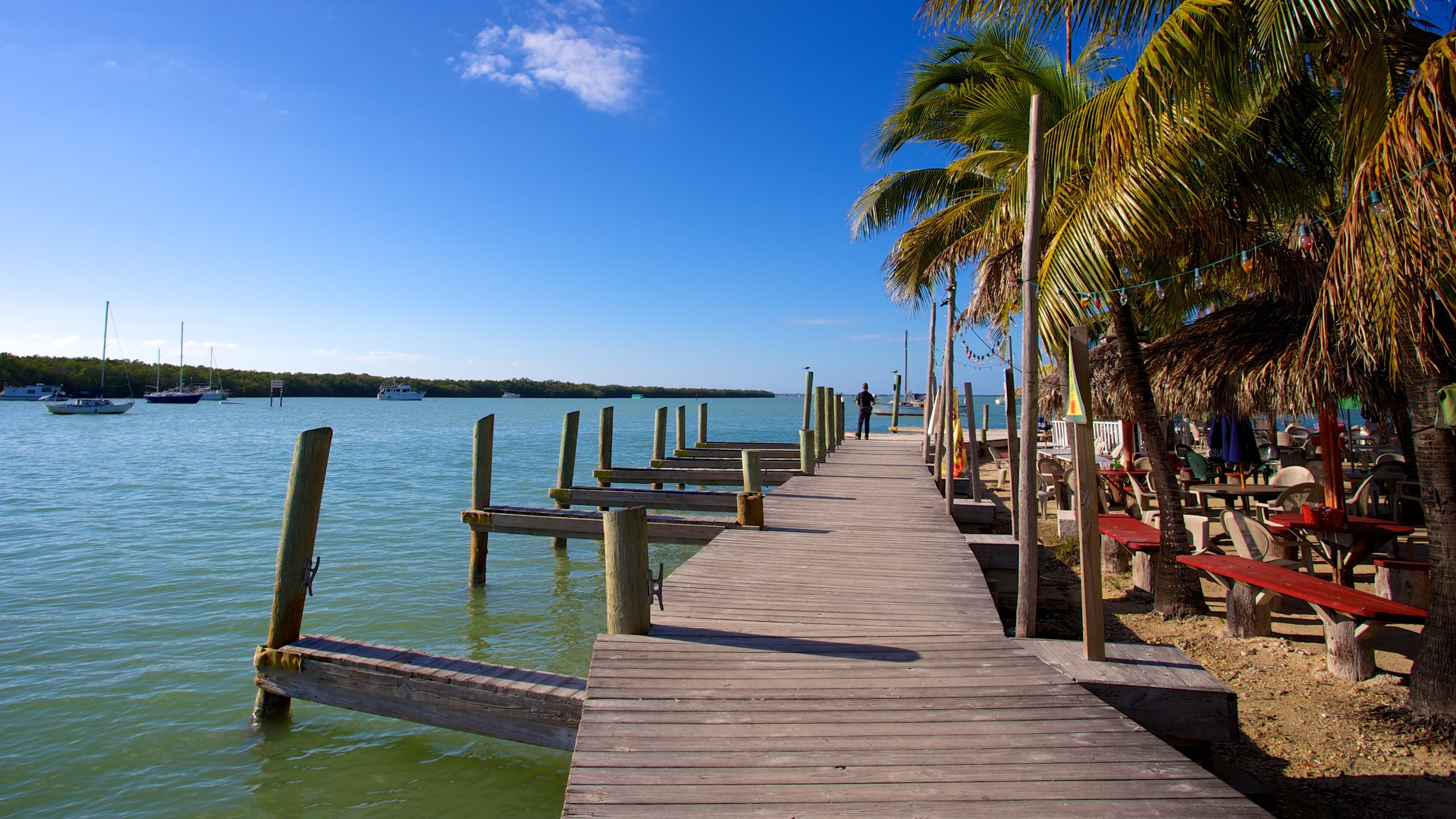 Key Largo featuring tropical scenes, a bay or harbor and general coastal views