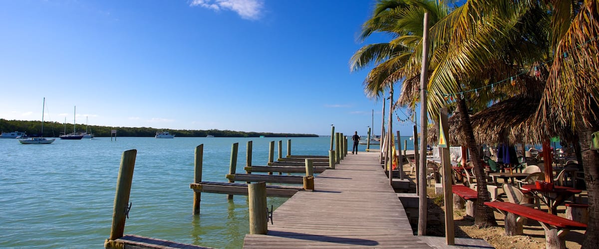 Key Largo mostrando una bahía o puerto, vistas generales de la costa y escenas tropicales
