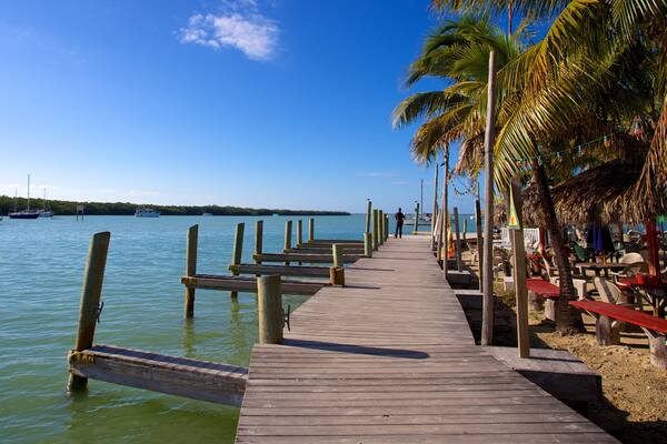 Key Largo featuring tropical scenes, a bay or harbor and general coastal views