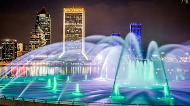 Friendship Park showing a city, night scenes and a fountain