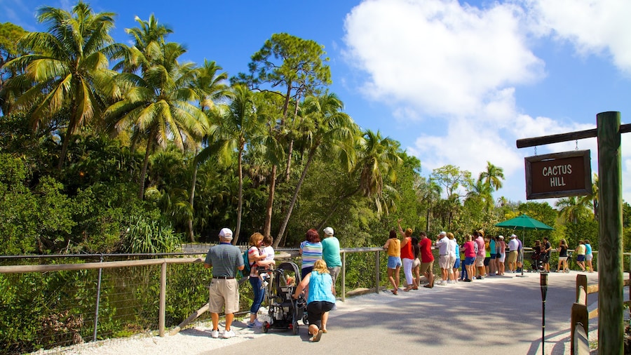 Naples Zoo at Caribbean Gardens mostrando señalización, animales del zoológico y vistas