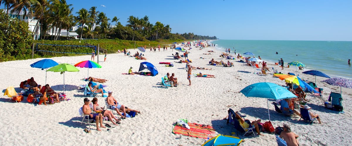 Naples Pier que incluye una playa de arena y vistas de paisajes y también un gran grupo de personas