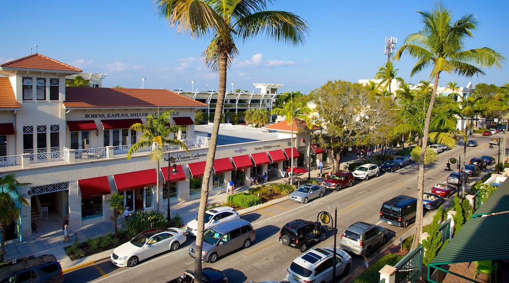 5th Avenue Shopping District showing street scenes and a city