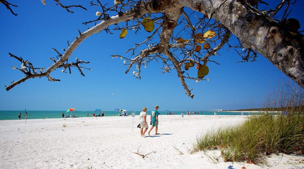 Delnor-Wiggins Pass State Park ซึ่งรวมถึง หาดทราย ตลอดจน คู่รัก