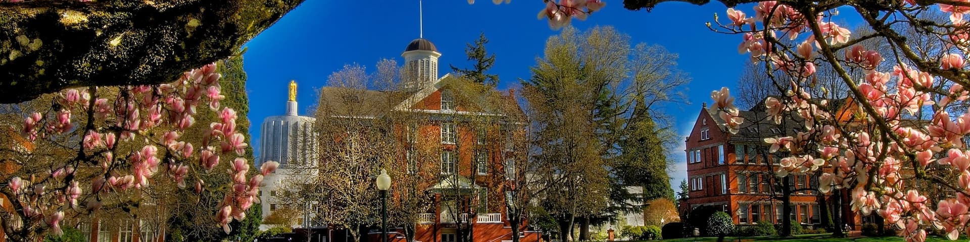 Salem featuring a garden