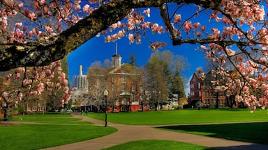 Salem featuring a garden