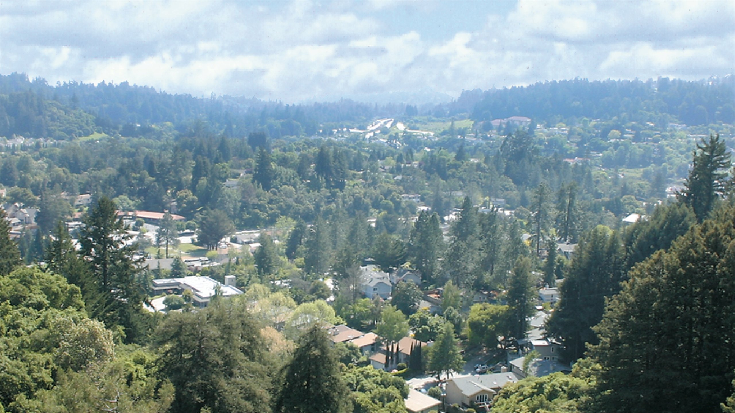 Bay Area showing tranquil scenes, a small town or village and landscape views