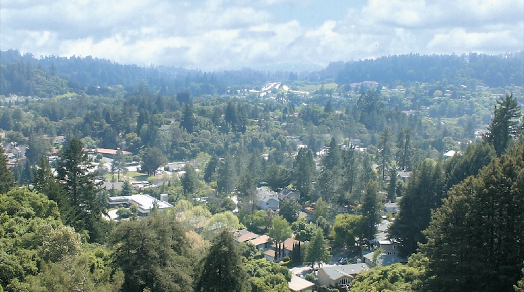Foto von Scotts Valley Chamber