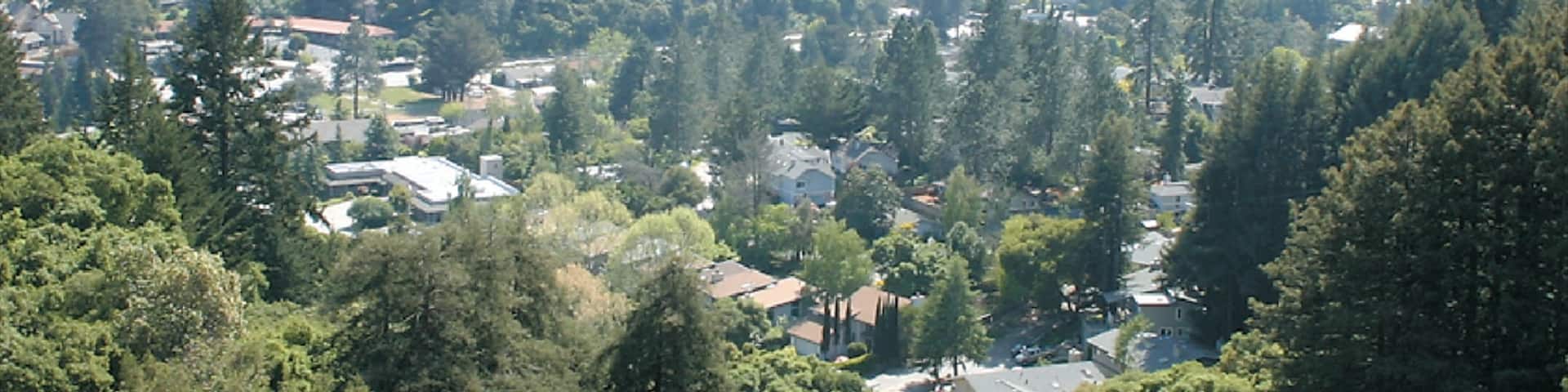 Bay Area showing tranquil scenes, a small town or village and landscape views