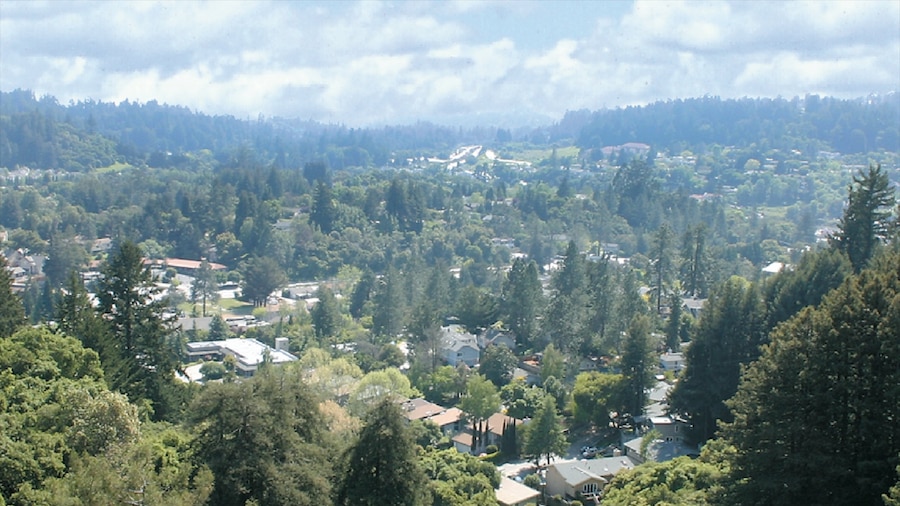 Bay Area ofreciendo vistas panorámicas, situaciones tranquilas y un pueblo
