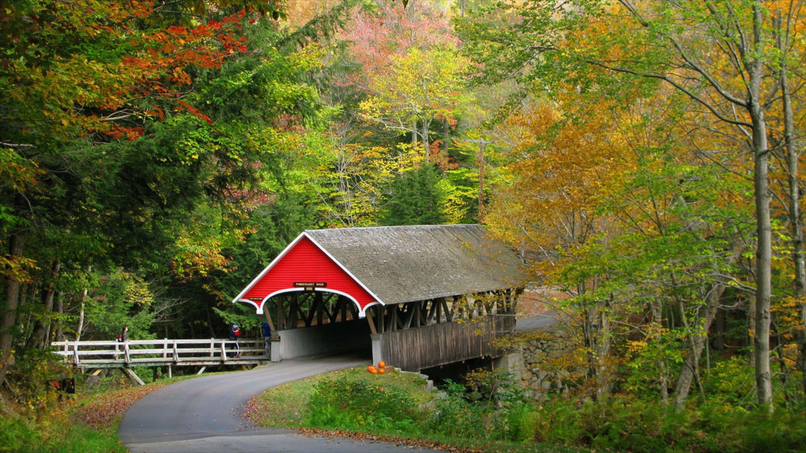 White Mountains featuring autumn leaves, a bridge and forests