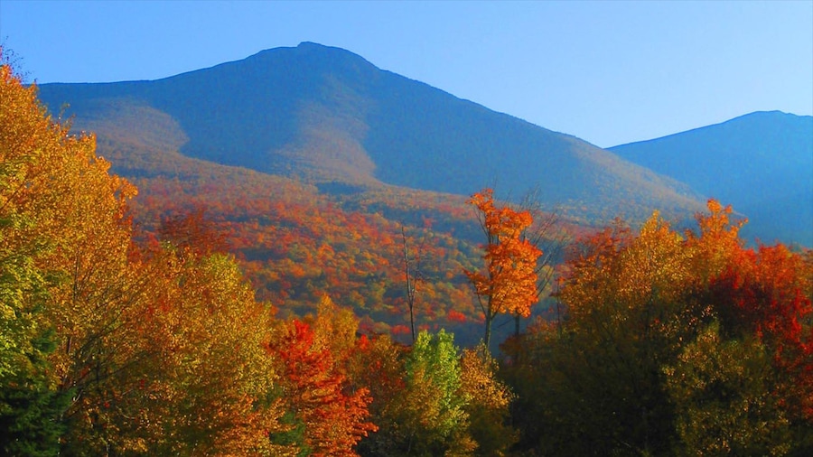 White Mountains showing autumn colours, mountains and landscape views