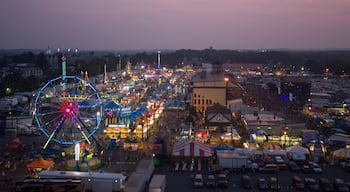 Allentown showing rides, a city and a festival