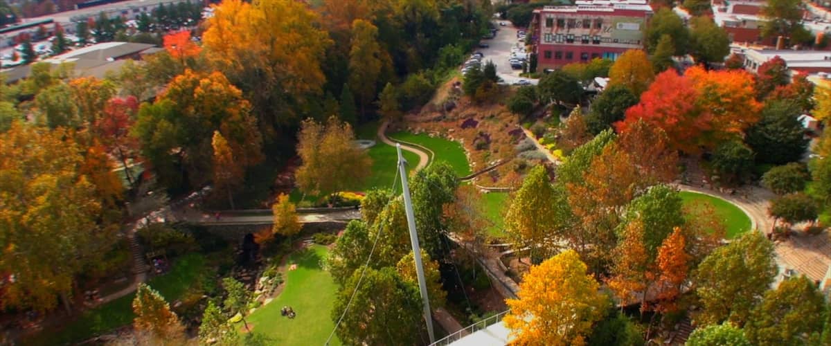 Greenville ofreciendo un puente, un jardín y los colores del otoño