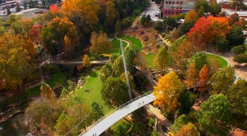 Greenville featuring autumn leaves, a garden and a bridge