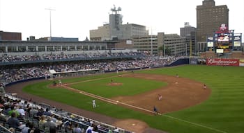 Toledo featuring a sporting event as well as a large group of people