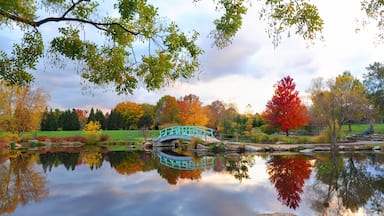 Dayton which includes a bridge, autumn colours and a lake or waterhole