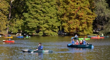 Dayton showing kayaking or canoeing and a lake or waterhole as well as a small group of people