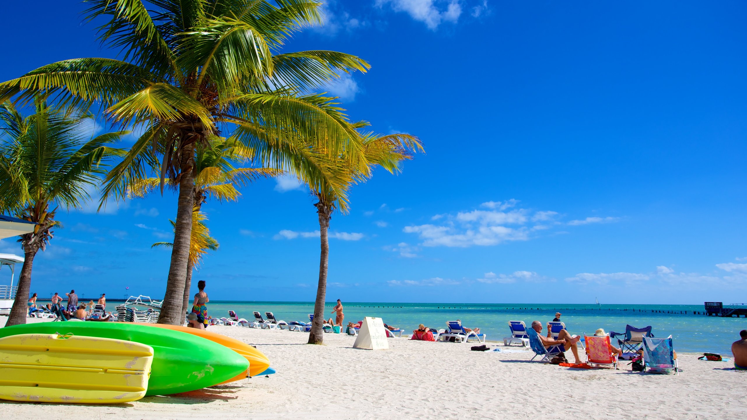 Higgs Beach showing a sandy beach and tropical scenes as well as a large group of people