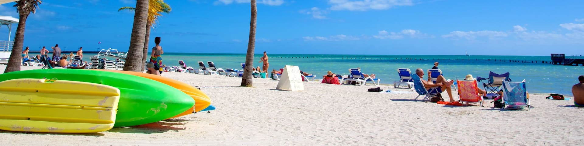Higgs Beach showing a sandy beach and tropical scenes as well as a large group of people