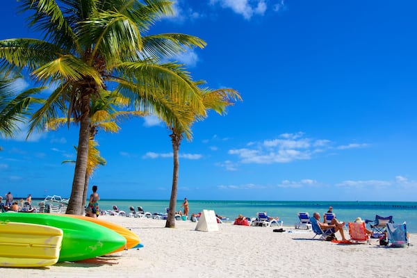Higgs Beach mettant en vedette scènes tropicales et plage de sable aussi bien que important groupe de personnes