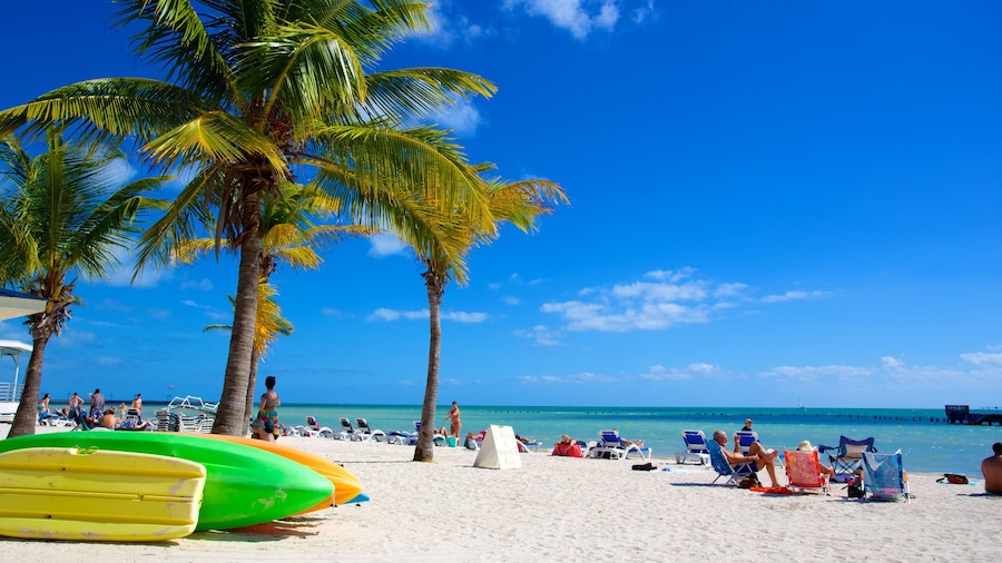Higgs Beach caratteristiche di spiaggia sabbiosa e paesaggio tropicale cosi come un grande gruppo di persone