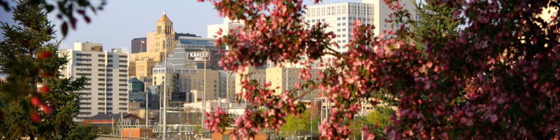 Rochester which includes a park, a coastal town and a city