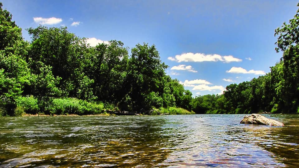 Rochester mostrando un río o arroyo y bosques