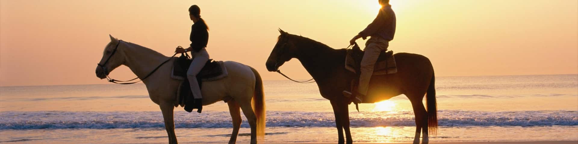 アメリア アイランド どの含み 夕焼け, 乗馬 と 砂浜