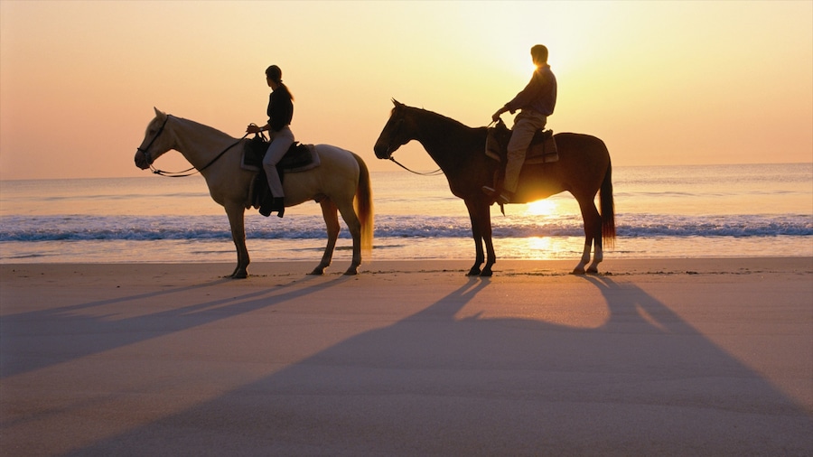 Amelia Island og byder på en sandstrand, ridning og en solnedgang