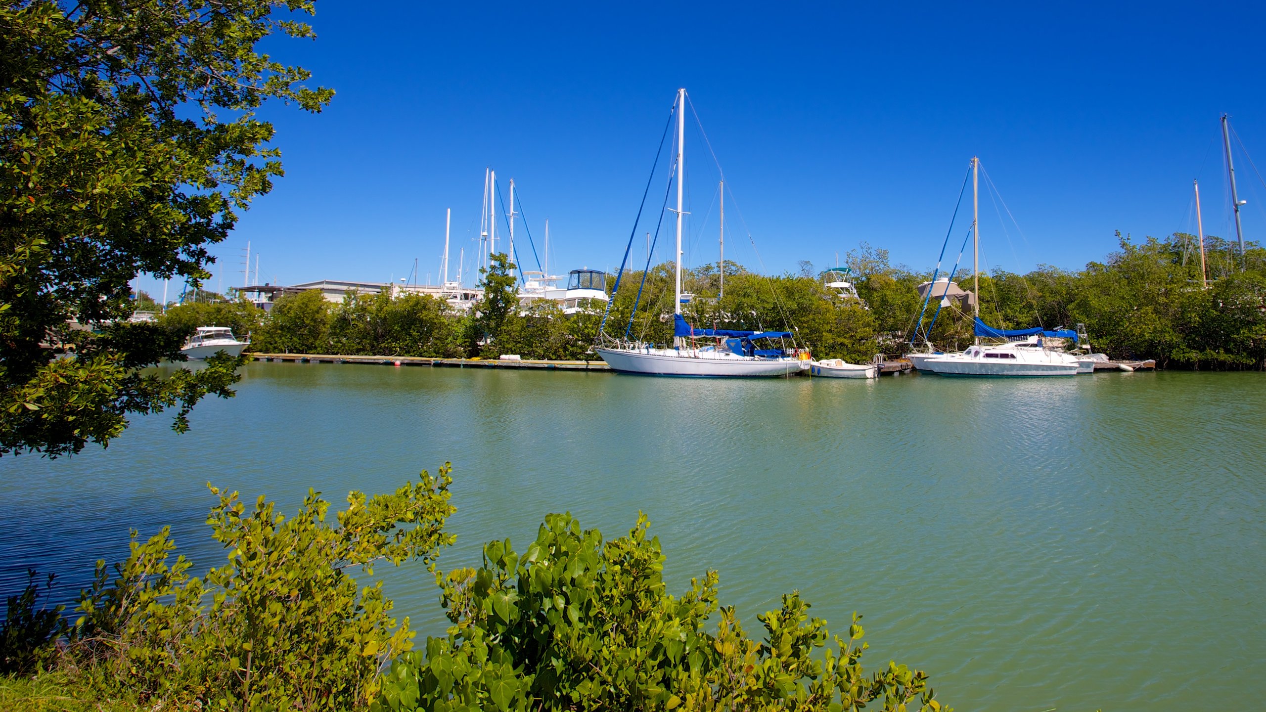 Marathon showing a bay or harbor and general coastal views