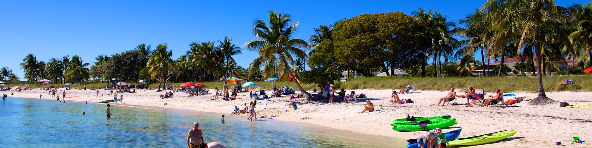 Marathon which includes tropical scenes, a beach and swimming