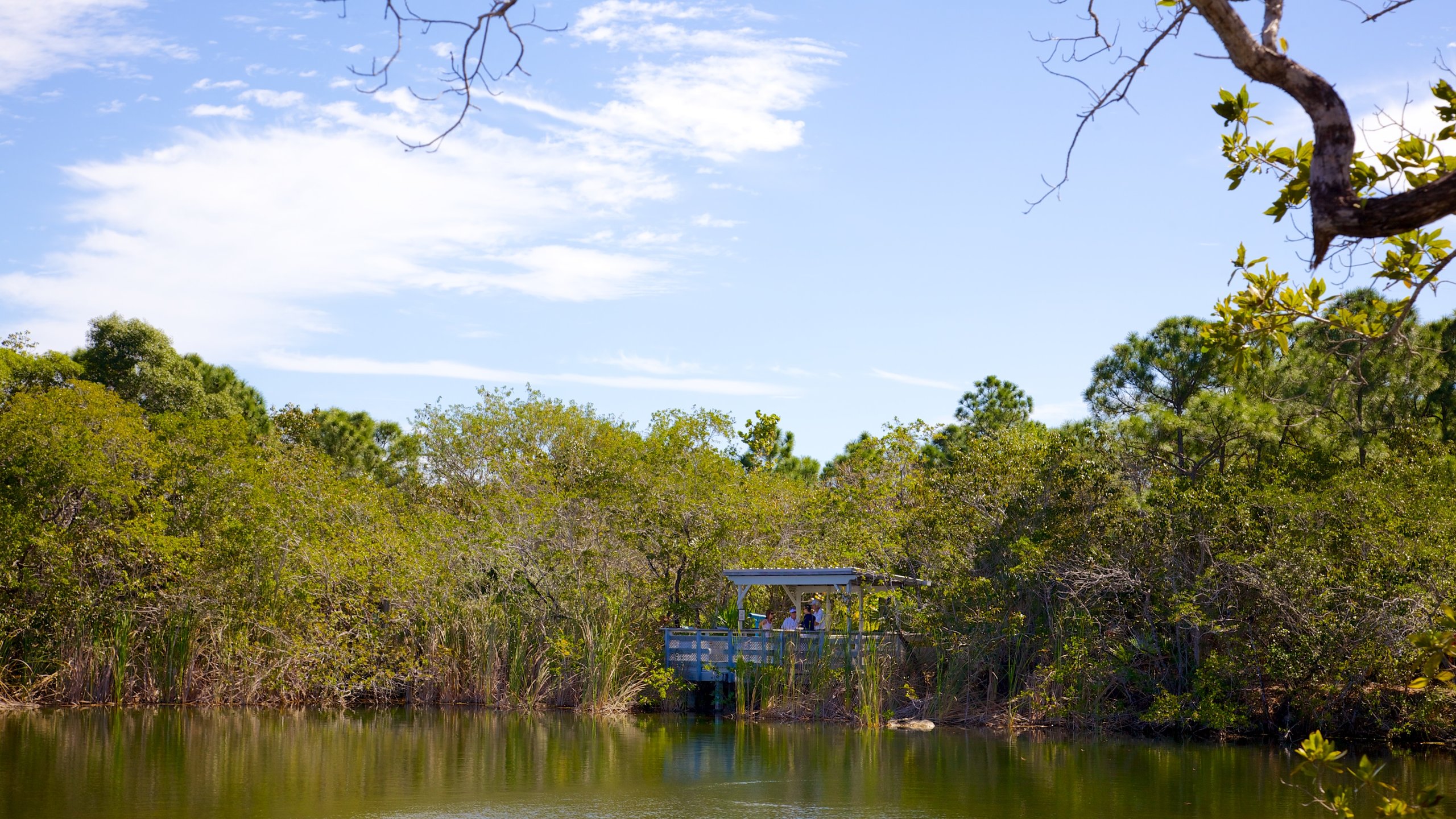 Big Pine Key which includes views, a lake or waterhole and mangroves
